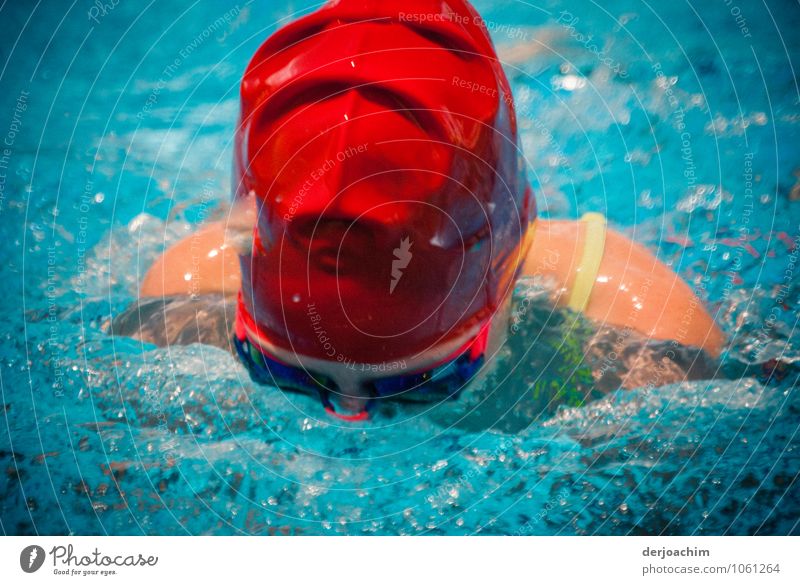 Rot ist schnell. Girl beim Breaststroke der letzten 2 Meter mit roter Badekappe beim Swimming Carnival Freude sportlich Schwimmen & Baden Sommer Schwimmbad