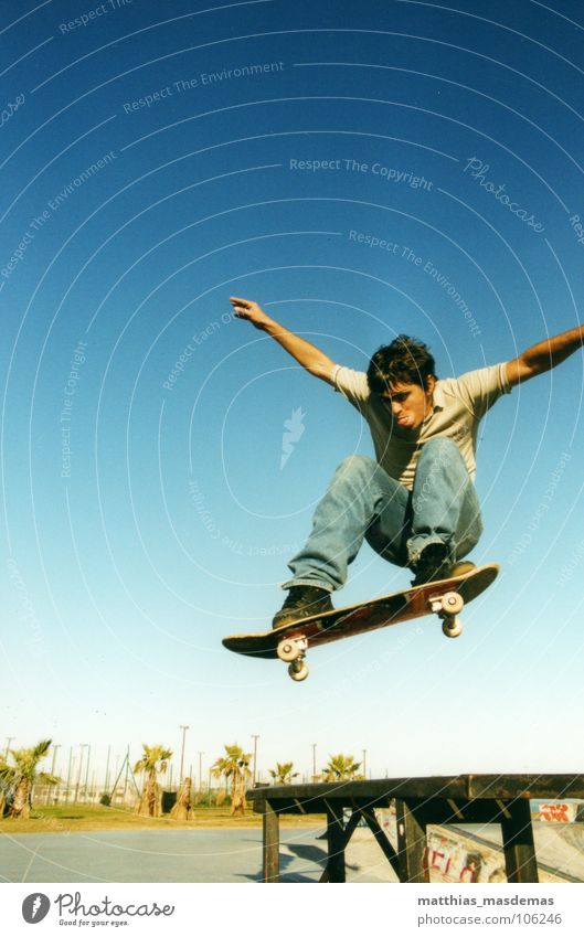 Skatepark Montevideo (Uruguay) Freude Zufriedenheit Sport Luftverkehr Arme Horizont Bewegung fliegen springen Geschwindigkeit Sportpark Südamerika Palme