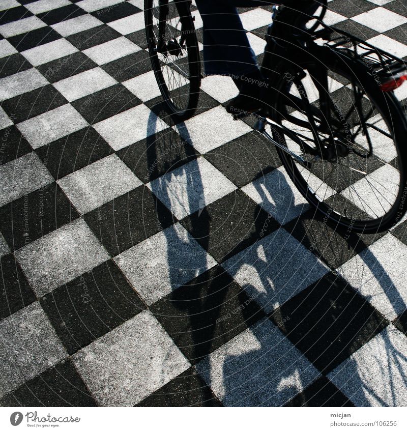 Digital Life Tanzfläche Muster Fahrrad fahren schwarz weiß kariert Schottenmuster Bodenbelag hart Ordnung Abwechselnd schick Spielen Brettspiel Bildpunkt Raster