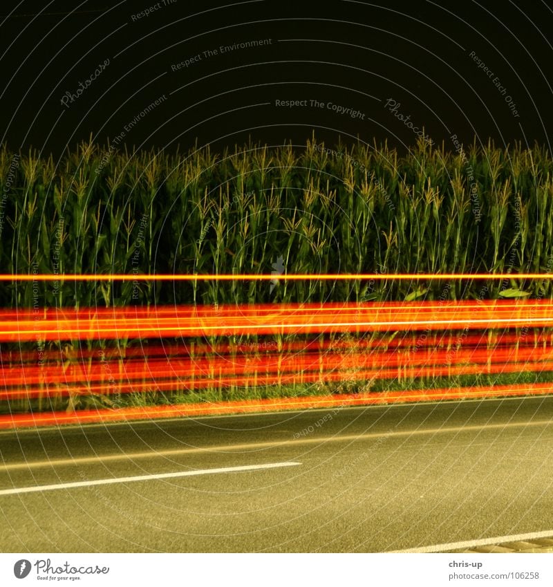 Rote Streifen Langzeitbelichtung rot grün Nacht dunkel Maisfeld Asphalt Licht Belichtung Landstraße Autofahren Unschärfe Verkehr Lichtstreifen Lichtspiel