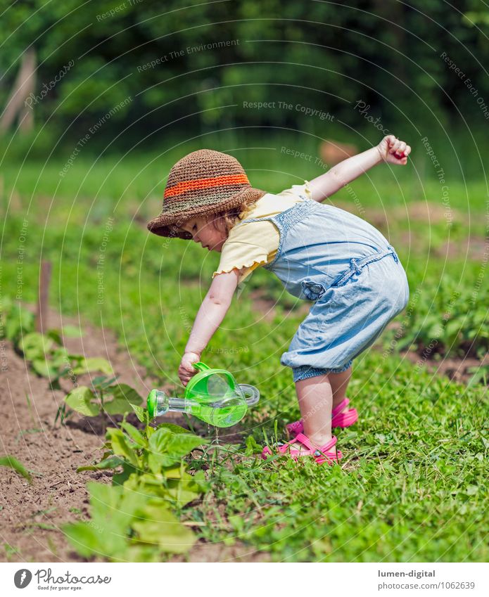 Kind gießt Gemüsebeet Sommer Kleinkind Kindheit Leben 1 Mensch 1-3 Jahre Schönes Wetter Pflanze Grünpflanze Nutzpflanze nachhaltig Natur Beet Landwirtschaft