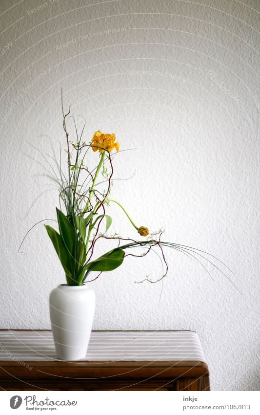 Wildwuchs Lifestyle Stil Häusliches Leben Wohnung Dekoration & Verzierung Blumenvase Tulpe Korkenzieher-Weide Blumenstrauß Blühend stehen schön natürlich gelb