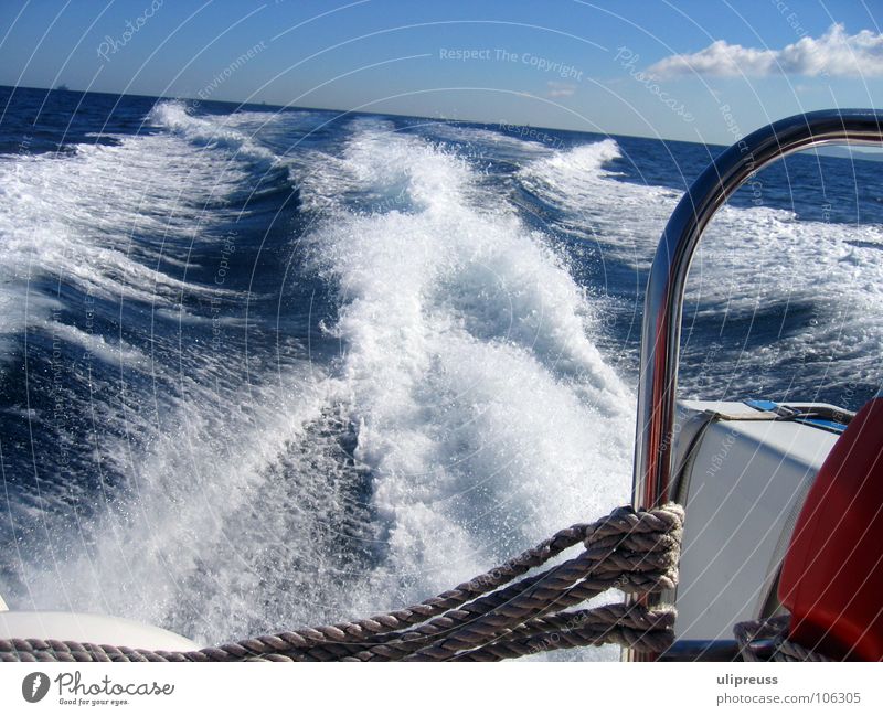 Fahrt aufnehmen Bootsfahrt Wasserfahrzeug Meer Ferien & Urlaub & Reisen Erholung Wellen Schaum Schiffsbug weiß rot Gischt Geschwindigkeit Tarifa Wal