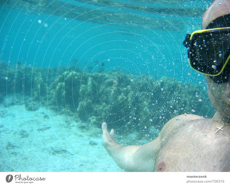 Taucher Schnorcheln tauchen tief Meer hell-blau azurblau türkis Korallen beige Mauritius Ferien & Urlaub & Reisen Freizeit & Hobby Mann Erholung Wasser Spielen