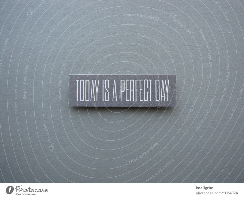 TODAY IS A PERFECT DAY Schriftzeichen Schilder & Markierungen Kommunizieren eckig positiv grau weiß Gefühle Stimmung Zufriedenheit Lebensfreude Begeisterung