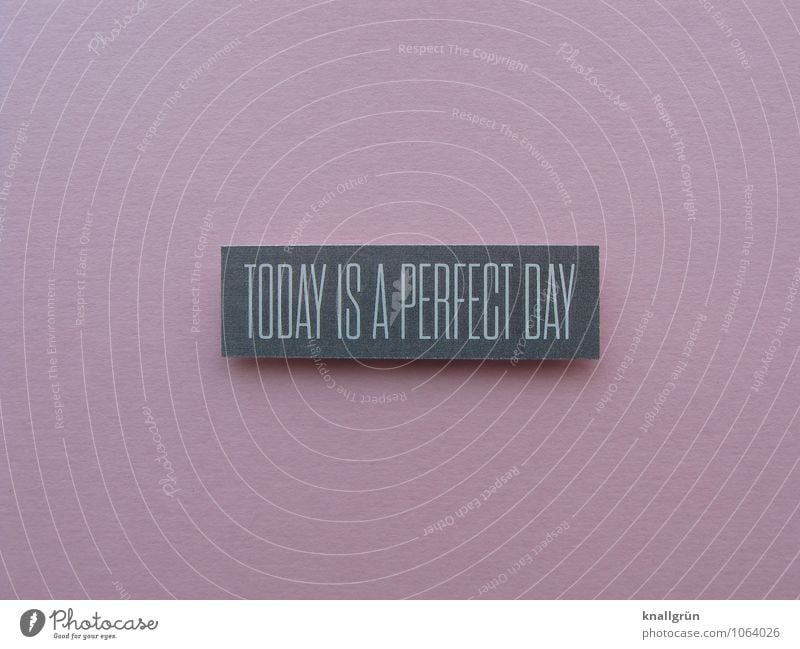 TODAY IS A PERFECT DAY Schriftzeichen Schilder & Markierungen Kommunizieren eckig grau rosa weiß Gefühle Freude Glück Zufriedenheit Lebensfreude Optimismus