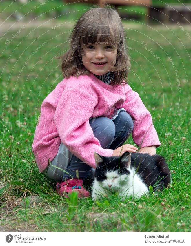 Kind mit Katze Freude schön Spielen Kinderspiel Garten Mädchen 3-8 Jahre Kindheit Gras Wiese blond Haustier berühren lachen Blick Fröhlichkeit lustig natürlich