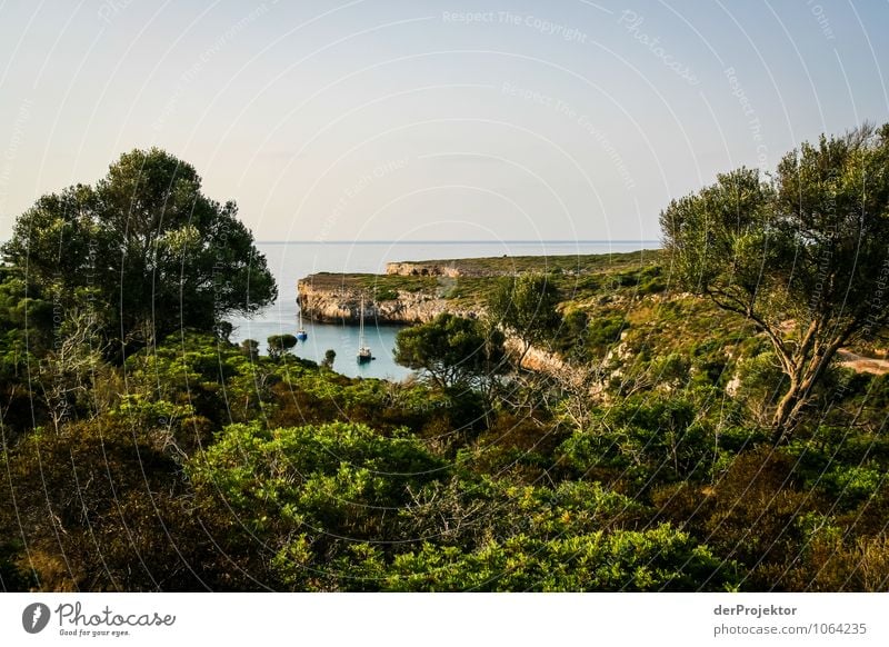 Mallorca von seiner schönsten Seite 43 - Blick auf Bucht Ferien & Urlaub & Reisen Tourismus Ferne Freiheit Sommerurlaub Umwelt Natur Landschaft Pflanze Tier