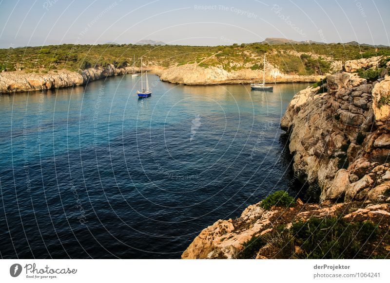 Mallorca von seiner schönen Seite 62 – Segelbucht Ferien & Urlaub & Reisen Tourismus Ausflug Ferne Freiheit Umwelt Natur Landschaft Pflanze Tier Sommer Urwald