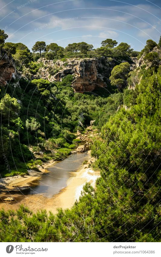 Mallorca von seiner schönsten Seite 42 - Einsame Schlucht Ferien & Urlaub & Reisen Tourismus Ausflug Abenteuer Expedition Sommerurlaub Umwelt Natur Landschaft