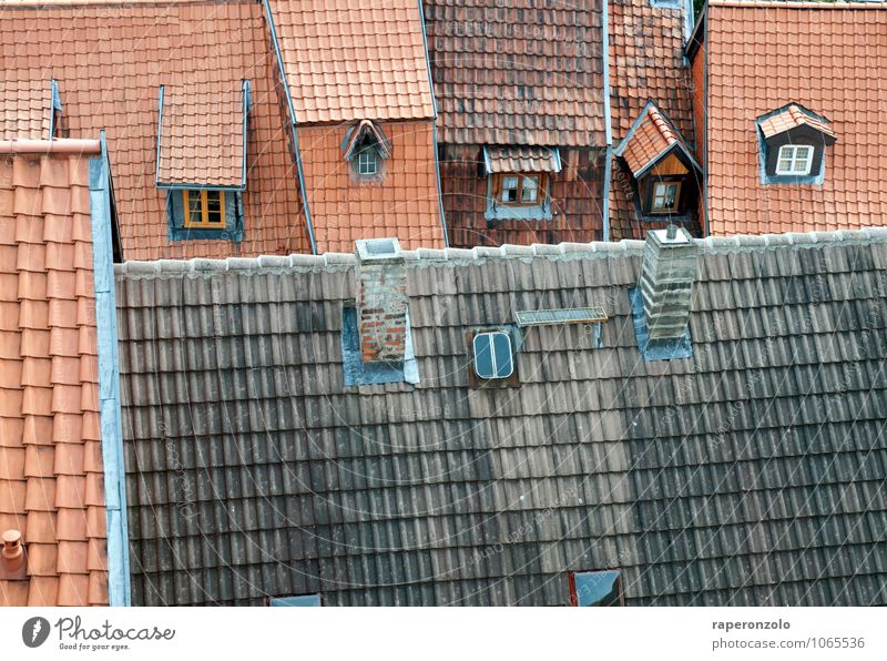 alt. neu. Quedlinburg Kleinstadt Stadt Stadtzentrum Altstadt Menschenleer Haus Fenster Dach Schornstein Häusliches Leben authentisch grau rot Schutz Tradition
