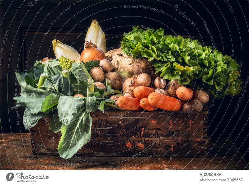 Gemüse Biokiste Lebensmittel Salat Salatbeilage Ernährung Bioprodukte Vegetarische Ernährung Diät Stil Design Gesunde Ernährung Sommer Garten gelb Natur Vitamin