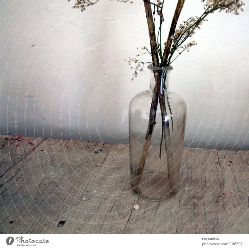 vase Blume Vase Dekoration & Verzierung Holz Wand dreckig Herbst Pflanze braun durchsichtig trocken getrocknet Trockenblume Glas Flasche bluette flower bottle