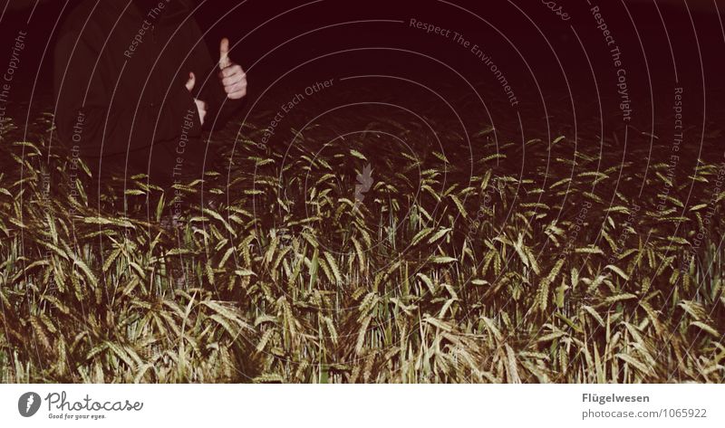 Daumen hoch im Getreidefeld OK cool Feld Weizen Gerste Roggen Nacht dunkel Lebensfreude genießen Hand Super