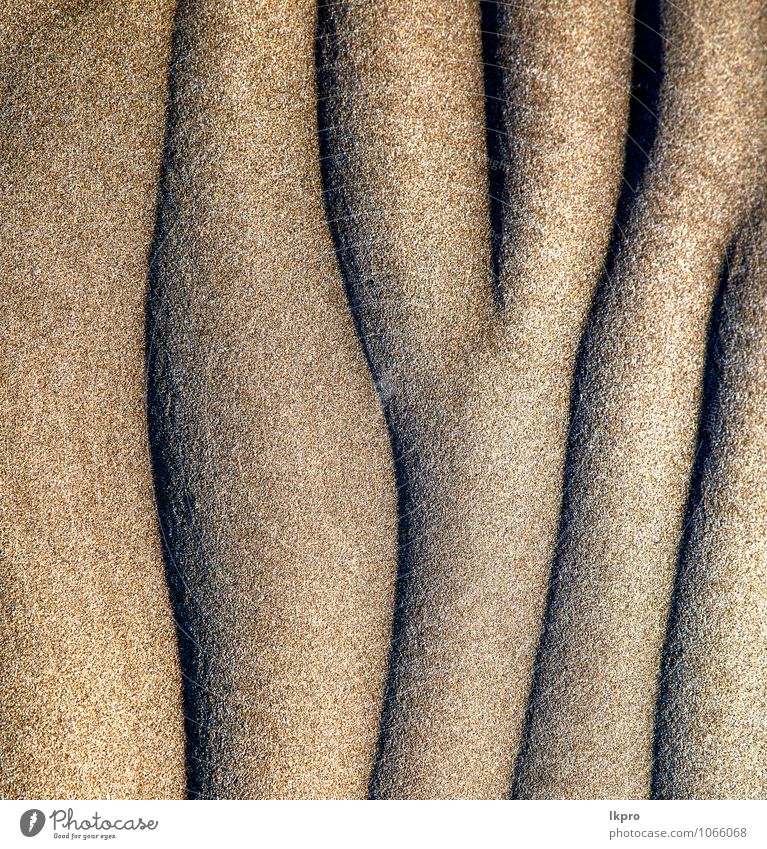 abstrakte Textur eines trockenen Ferien & Urlaub & Reisen Tourismus Ausflug Sommer Strand Insel Umwelt Natur Urelemente Erde Sand Klima Felsen Küste Fluss Wüste