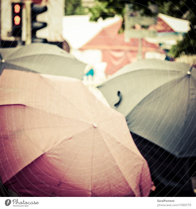 heute Mensch 3 Menschengruppe Stadt Verkehr Verkehrswege Fußgänger dunkel grau rot schwarz Regenwasser Regenschirm Ampel warten stehen verstecken nass Schutz