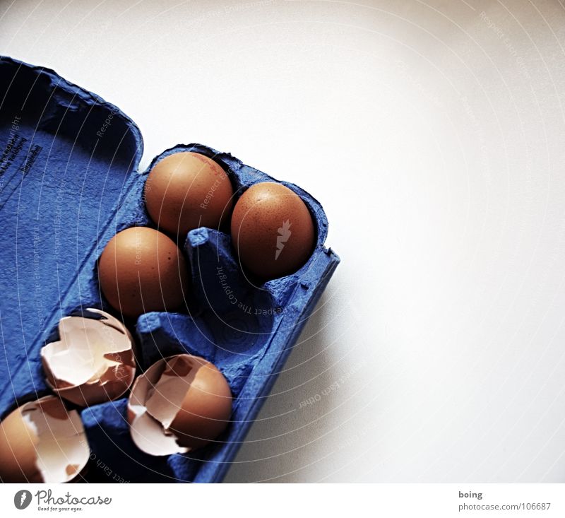 Eier Legebatterie Haushuhn Packung konventionell Lebensmittel Verpackung Schutz kaputt Teigwaren kochen & garen Freilandhaltung Vogelgrippe 10 Eiklar Protein