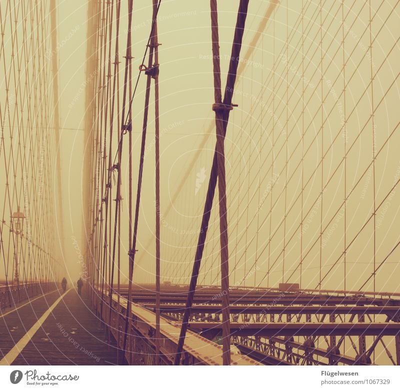 Broglin Bridsch Ferien & Urlaub & Reisen Tourismus Ausflug Abenteuer Sightseeing Städtereise Nebel Brücke laufen New York City Brooklyn Brooklyn Bridge
