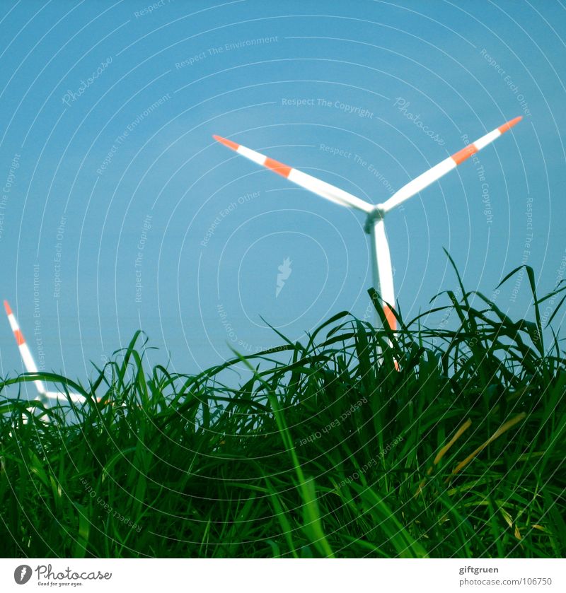 grüne energie Gras rot weiß Elektrizität drehen Erneuerbare Energie Generator Windkraftanlage Industrie Himmel blau Energiewirtschaft stromversorgung Rasen