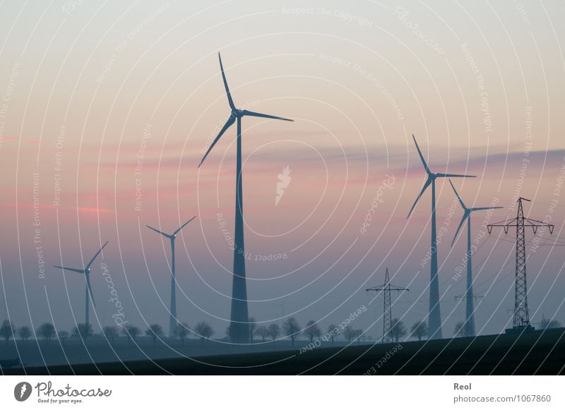 Dämmerung Energiewirtschaft Erneuerbare Energie Windkraftanlage Landschaft Sonnenaufgang Sonnenuntergang Sonnenlicht Feld Windrad Strommast Stromkraftwerke rosa