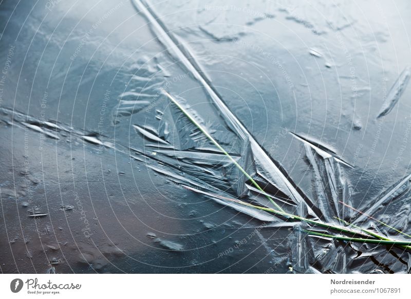 Strukturen Winter Natur Klima Wetter Eis Frost Gras Seeufer frieren ästhetisch kalt blau bizarr stagnierend Wandel & Veränderung bewegungslos Eiskristall