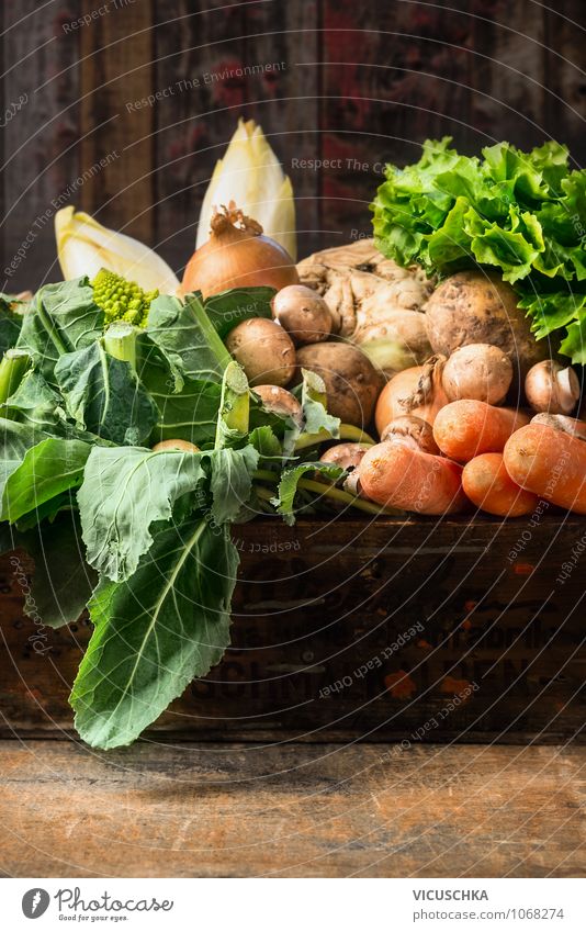 Bio Gemüse auf altem Holztisch Lebensmittel Salat Salatbeilage Kräuter & Gewürze Ernährung Bioprodukte Vegetarische Ernährung Diät Stil Design Gesunde Ernährung