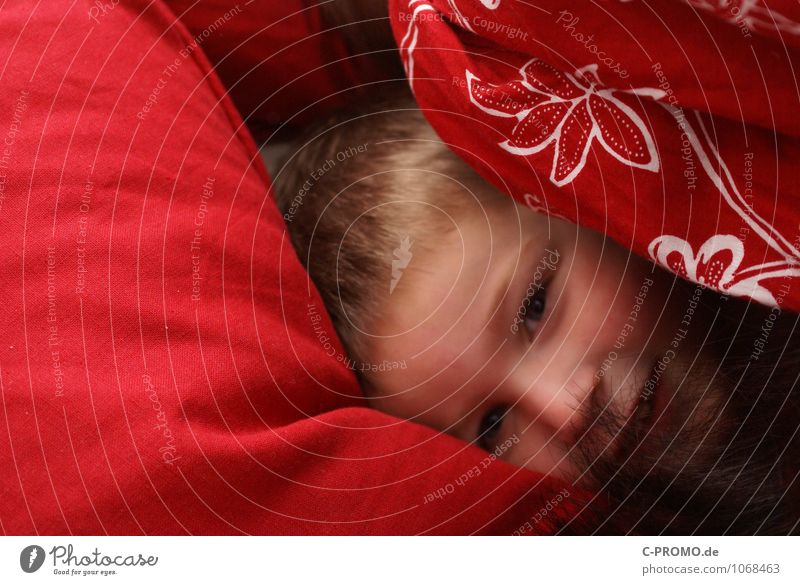 Junge eingekuschelt im Bett Mensch Kind Familie & Verwandtschaft Kindheit 1 1-3 Jahre Kleinkind 3-8 Jahre Bettwäsche kuschlig rot Freude Glück Fröhlichkeit