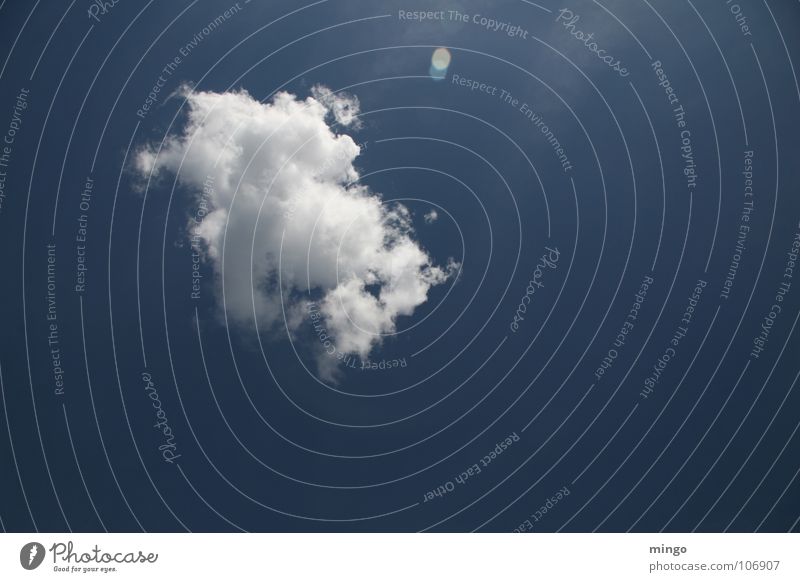 ne nette Wolke Wolken weiß Wasserdampf Einsamkeit Regenwolken Watte Umwelt Gegenlicht Erholung Denken Himmel blau Wetter Natur Niveau Strukturen & Formen Cloud