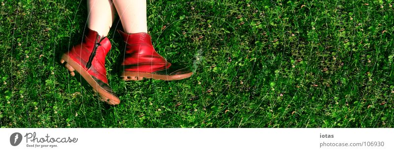 rot auf gruen grün Wiese Park Schuhe Erholung passieren Sommer bedrohlich Gras Pause Freizeit & Hobby Mensch Nahaufnahme Textfreiraum Platz schön Physik