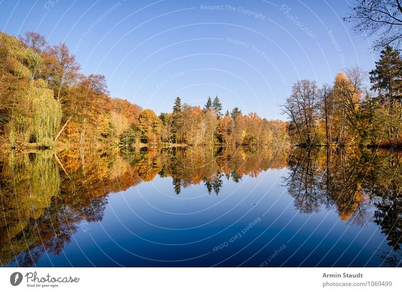 Herbstwald am See Leben Erholung ruhig Tourismus Natur Landschaft Himmel Horizont Klima Schönes Wetter Park Wald Seeufer fantastisch Ferne frisch natürlich blau