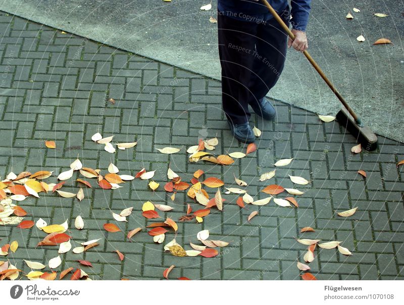 Straßenfeger 2 Herbst Blatt Blick Besen Besenstiel Kehren Sauberkeit Saubermann Reinigen Körperpflege Gebäudereiniger Straßenreinigung Bürgersteig Parkplatz