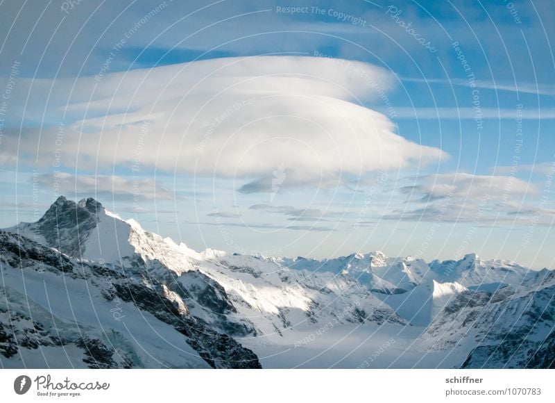 Riesenwolkenschaf Umwelt Natur Landschaft Winter Klima Klimawandel Wetter Schönes Wetter Eis Frost Schnee Felsen Alpen Berge u. Gebirge Gipfel