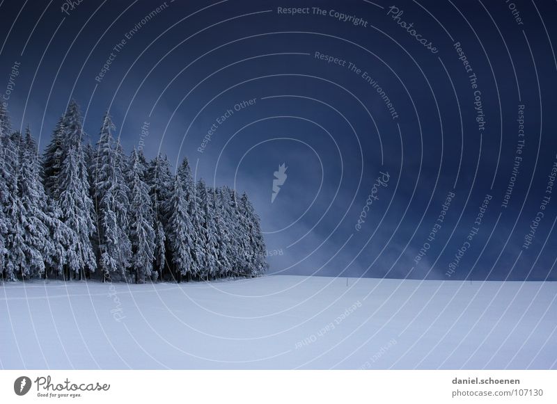 Weihnachtskarte 1 Schwarzwald weiß Tiefschnee wandern Freizeit & Hobby Ferien & Urlaub & Reisen Verhext mystisch abstrakt Hintergrundbild Tanne Schneelandschaft