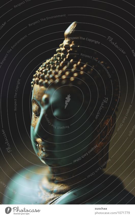 buddha Erholung ruhig Meditation Kunststoff Bekanntheit exotisch Kraft Glaube Gelassenheit Religion & Glaube Figur Buddha Sinnbild Buddhismus Farbfoto