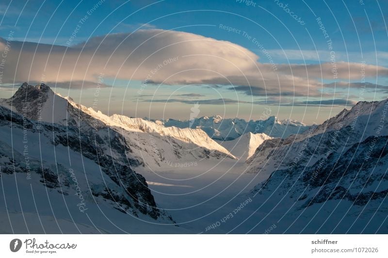 Riesenwolkenschaf, immer noch buckelnd Umwelt Natur Landschaft Klima Klimawandel Wetter Schönes Wetter Eis Frost Felsen Alpen Berge u. Gebirge Gipfel