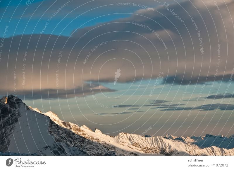 Riesenwolkenschaf, geht schlafen Klima Klimawandel Wetter Schönes Wetter Felsen Alpen Berge u. Gebirge Gipfel Schneebedeckte Gipfel Gletscher kalt alpin Wolken