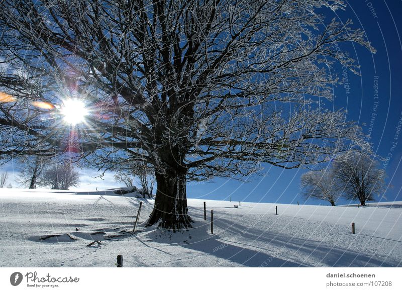 Weihnachtskarte 2 Sonnenstrahlen Winter Schwarzwald weiß Tiefschnee wandern Freizeit & Hobby Ferien & Urlaub & Reisen Hintergrundbild Baum Schneelandschaft