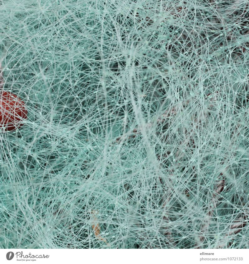 Synapsen Fischernetz Seil Kunststoff grau rot türkis Bewegung bizarr komplex Kreativität durcheinander Farbfoto Außenaufnahme Nahaufnahme Strukturen & Formen