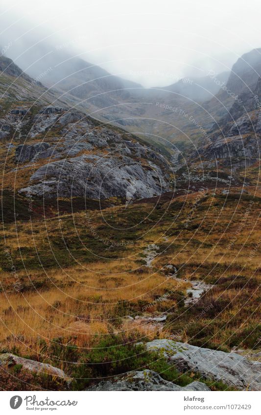 Glen ins Ungewisse Ferien & Urlaub & Reisen Insel Berge u. Gebirge Schottland Highlands Landschaft Pflanze Wolken schlechtes Wetter Unwetter Nebel Regen