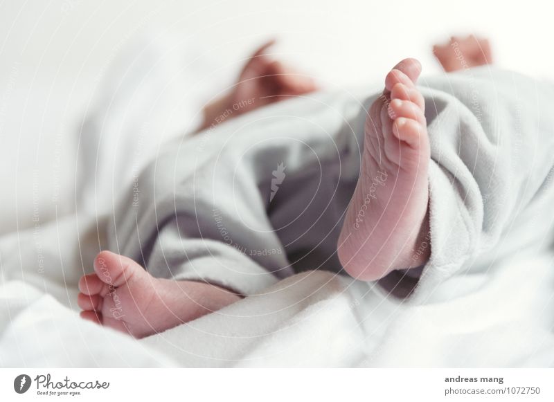 Füße Baby Kindheit Fuß 0-12 Monate Hose liegen schlafen klein nah niedlich Sauberkeit Glück Zufriedenheit Lebensfreude Vertrauen Sicherheit Schutz Geborgenheit