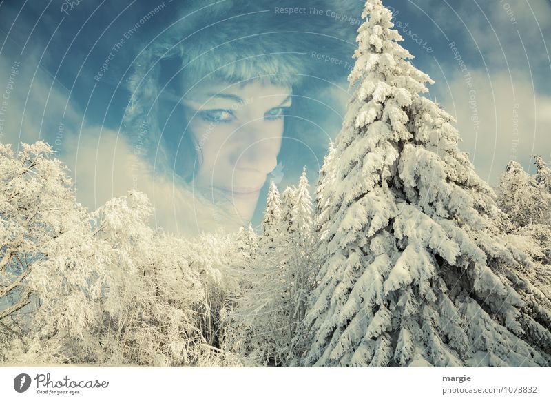 Ein Frauenportrait im Winterwald Erholung Ferien & Urlaub & Reisen Freiheit Schnee Winterurlaub wandern Mensch feminin Junge Frau Jugendliche Erwachsene Kopf 1