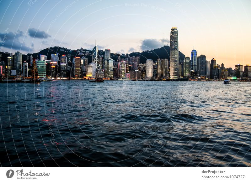 Blaue Stunde in Hongkong mit Skyline Ferien & Urlaub & Reisen Tourismus Ausflug Abenteuer Sightseeing Städtereise Umwelt Sommer Schönes Wetter Hauptstadt