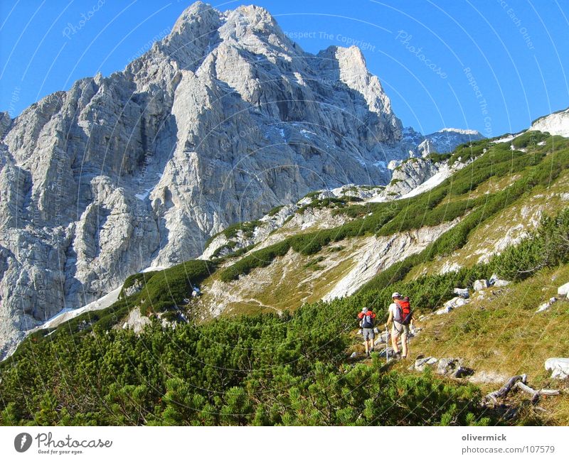 der lange weg zur spitzmauer grün Bergsteiger wandern Fußweg steinig steil Idylle Berge u. Gebirge Felsen Schuhe blau Blauer Himmel totes gebirge anstrengen