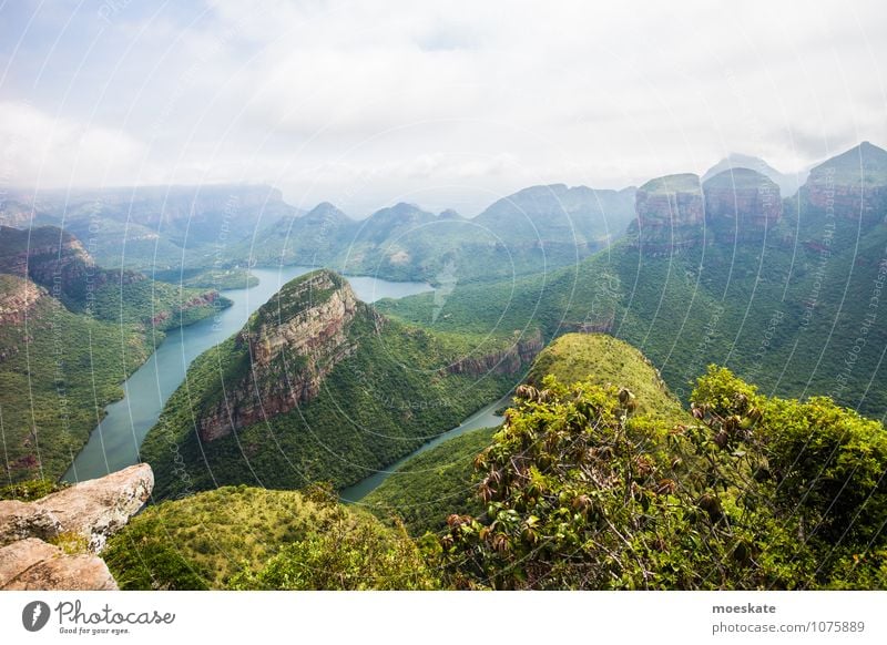 Blyde River Canyon South Africa Fluss grün Afrika Südafrika Schlucht Farbfoto Gedeckte Farben Außenaufnahme Menschenleer Tag Panorama (Aussicht) Weitwinkel