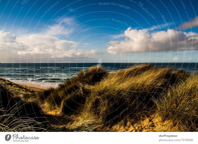 Düne in Cornwall Ferien & Urlaub & Reisen Tourismus Ausflug Ferne Freiheit Umwelt Natur Landschaft Pflanze Tier Urelemente Wolken Frühling Schönes Wetter Hügel