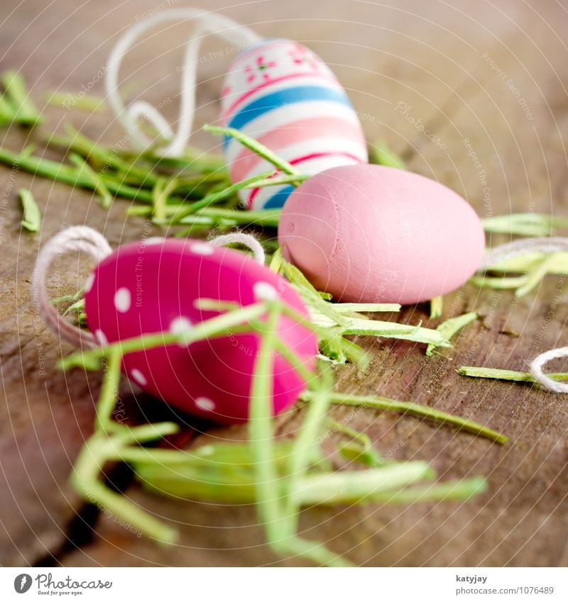 Ostereier Ostern Frühling Osternest Ei Nest Geschenk Tisch grün Farbe Farbstoff violett Saison rustikal Schnur Nahaufnahme mehrfarbig verziert Tradition