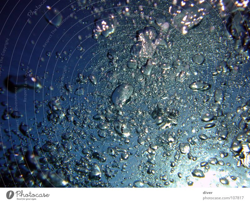 Luftblasen tauchen sprudelnd Wasser Unterwasseraufnahme Dive Diving blau
