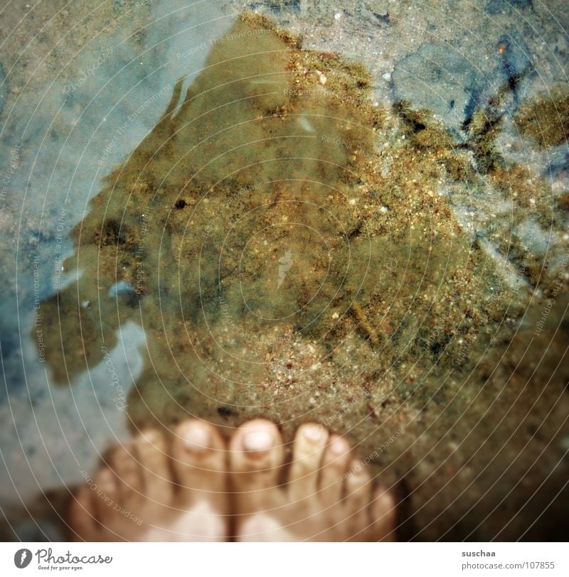 zu naß .. ? See Zehen dreckig stehen Schlamm Blatt Reflexion & Spiegelung kalt nass Herbst seewasser Wasser Fuß Sand Stein Schwimmen & Baden Barfuß
