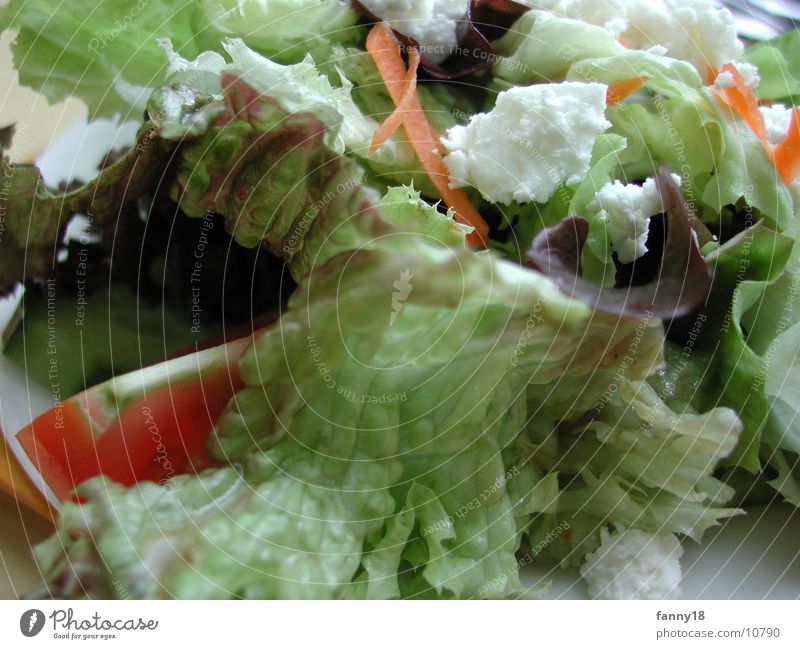 Salat mit Käse grün Gesundheit mischen Vegetarische Ernährung Gemüse