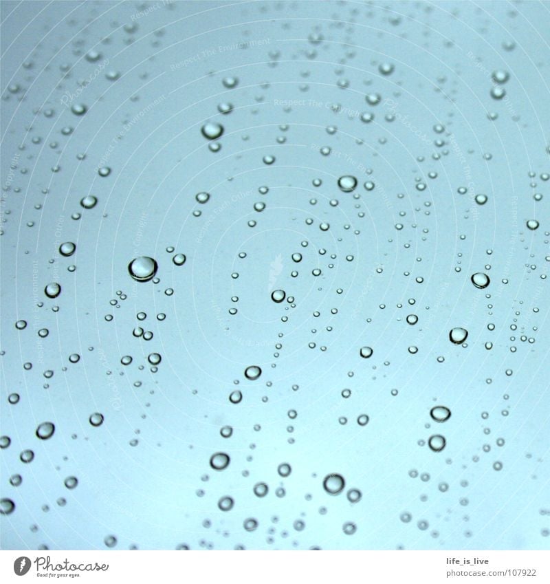 _immer_wenn_es_regnet_ Wassertropfen nass einzigartig Flüssigkeit Durstlöscher rollen Detailaufnahme Herbst -A-N-N-A- immer wenn es regnet Regen plitsch platsch